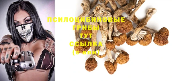кокаин премиум Магас