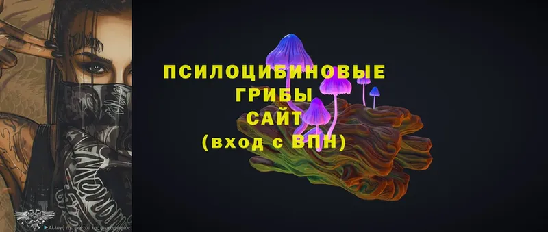 Псилоцибиновые грибы Magic Shrooms  купить  сайты  Калининец 